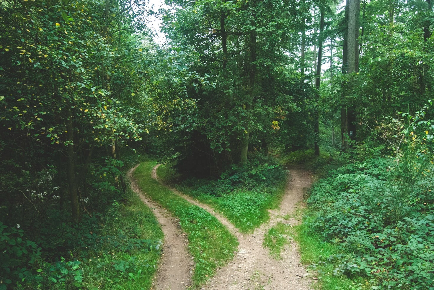 5 Ways to Enhance Decision-Making Clarity