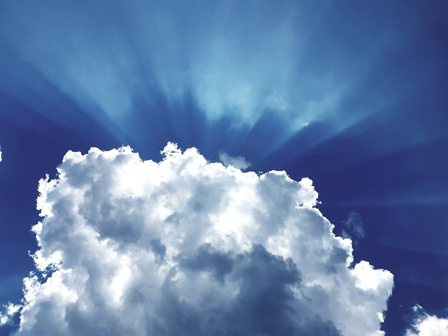 Practical Tools for Navigating Professional Challenges